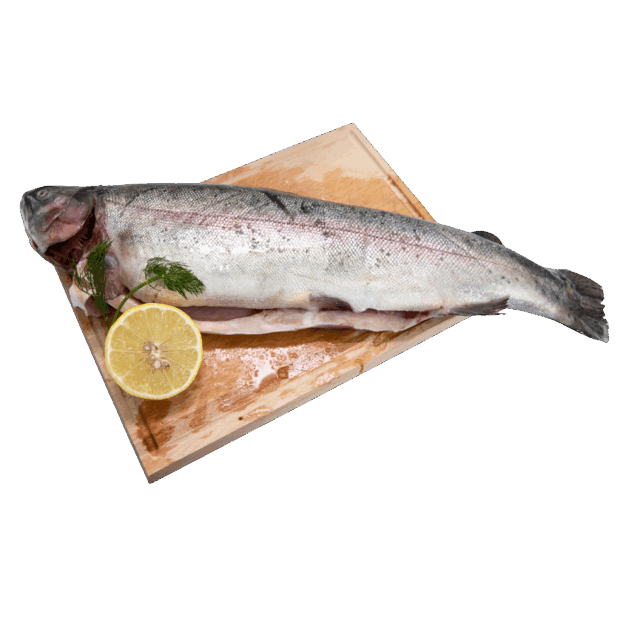 Losos pastrmka sveža očišćena 1kg