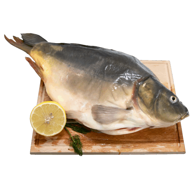 Šaran očišćen - golać 1kg