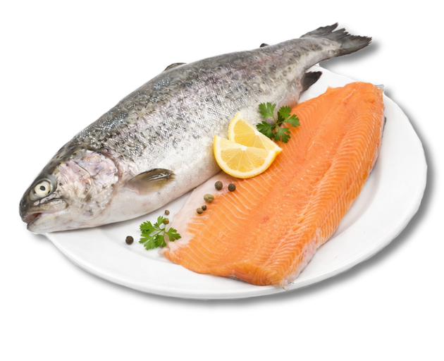 Losos pastrmka filet 1kg